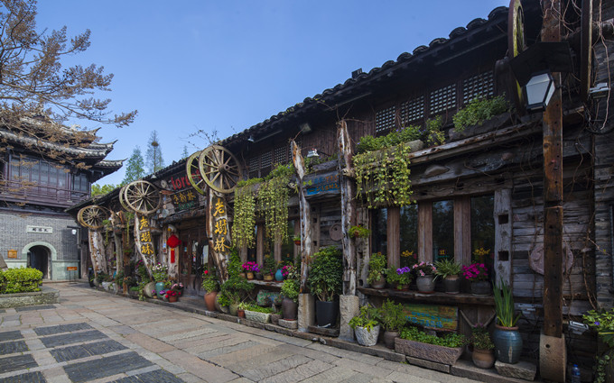 老樹林酒吧_副本(ben).jpg
